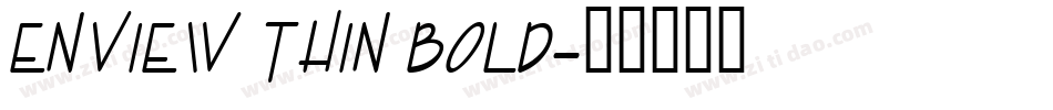 Enview Thin Bold字体转换